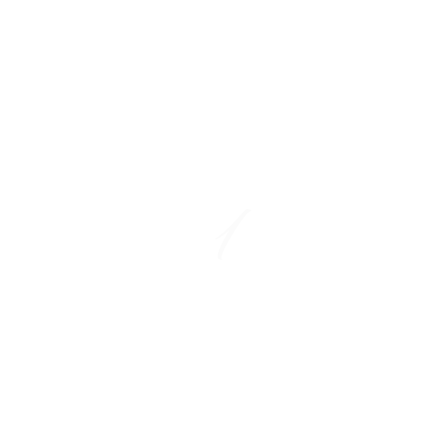 Biino Logo